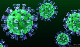 How may coronavirus symptoms (COVID-19) manifest on the skin?