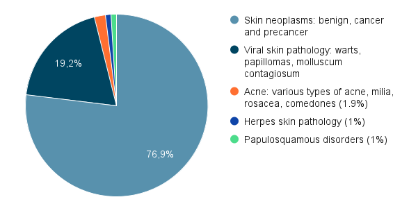 the most popular skin pathology for recognition